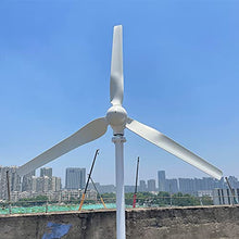 NINILADY 1000w Wind Turbine 1kw 12v/24v/48v Horizontal Axis Wind Generator with Hybrd MPPT Controller Free Power Windmill (48V, with MPPT Controller)