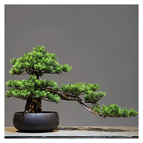 Fake Plants Artificial Welcome Pine Bonsai,13 Inch Zen Micro Landscape Ornament，Fake Trees for Conference Room Exhibition Hall Rack（with Cleaning Brush） Bonsai Tree