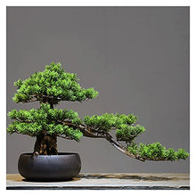 Fake Plants Artificial Welcome Pine Bonsai,13 Inch Zen Micro Landscape Ornament，Fake Trees for Conference Room Exhibition Hall Rack（with Cleaning Brush） Bonsai Tree