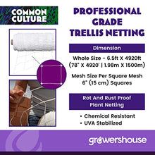 COMMON CULTURE Professional Grade Trellis Netting Bulk Roll 6.5ft x 4920ft Heavy Duty Scrog Net