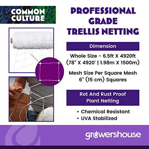 COMMON CULTURE Professional Grade Trellis Netting Bulk Roll 6.5ft x 4920ft Heavy Duty Scrog Net