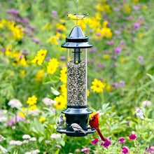 Brome,Squirrel Buster Plus 6"x6"x28" (w/Hanger) Wild Bird Feeder with Cardinal Ring and 6 Feeding Ports, 5.1lb Seed Capacity, 2 Pack