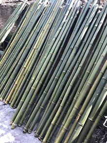 Zhu Tonkin Bamboo Fly Rod 7'6" #4 2-Piece Yellow