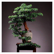 Large Living Room Simulation Welcoming Pine Bonsai Porch Plant Potted Indoor Desktop Green Plants Flower Ornaments Decoration Gifts House Plant (Color : O)