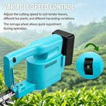 HiJiuAn 800w Hedge Trimmer, 11.8in Cutting Length, with 2 Batteries, Handheld Cordless Tea Harvesting Hedge Machine, for Gardening Modeling, Greening Pruning, Collecting Tea Leaves