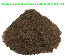 Viagrow Coconut Soilless Grow Media 11 lb 5KG Block