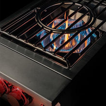 TrueFlame Power Burner, 60,000 BTU Output Built-In Natural Gas Burner