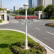 GZHERVICES Outdoor Elevated Planters, Lamp Post Planters, Hanging Lamp Post Planters, Semi-Circular Planter Sets, and Decorative Roadside Planters, Ideal for Decorating Lamp Posts in Parks(500x150mm)