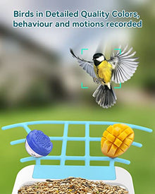 CPVAN Smart Bird Feeder with Camera, Bird Watching Camera Auto Capture Bird Videos & Motion Detection, Bird House Camera (Blue)
