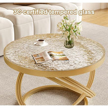 Round Glass Coffee Tables for Living Room, Simple Modern Center Table, Coffee Table for Living Room with Round Corners, for Living Room Home Office(Black,50cm/19.7in)