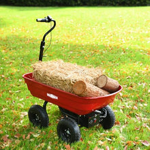 Kaimei Electric Wheelbarrow Utility Cart 264 lbs Capacity Black+Red