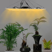 DHccPOLve 660W Indoor LED Grow Lamp for Plants Full Spectrum Growth Light Flower Bloom, Dimmable & Daisy Chain Heat Dissipation Grow Light