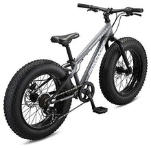 Mongoose Argus ST Kids Fat Tire Mountain Bike 20-Inch Wheels Grey