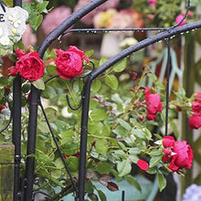 Metal Garden Arch Arbor Garden Arch with Door, 84.6" High x 45.3" Wide Stereoscopic Metal Garden Arbor, Wrought Iron Ornamental Outdoor Estate Entryway, Weddings Quinceaneras Party Decoration 215x115