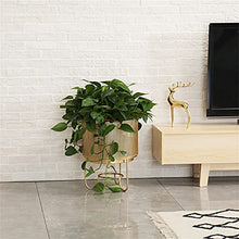 SIDUFHAOPKLL Indoor Floor Plant Rack Living Room Green Rose Iron Flower Large Flowerpot Gold(30x40cm)