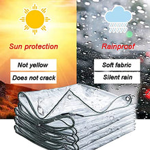 BAILR Heavy Duty Greenhouse Tarp 20x20ft, Transparent Tarpaulin, Waterproof Sun Protection Weatherproof Curtain with Grommets for Garden Furniture/Plant Cover (A 6x6m)
