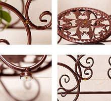 ZOCWJK Plant standFlower Stand, European Iron Flower Stand, Multi-Tier Balcony, Living Room, Flower Pot Frame/R Plant Shelves,