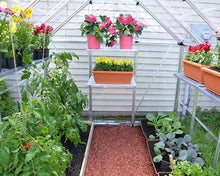 Palram - Canopia Snap & Grow 8' x 12' Polycarbonate Greenhouse, Silver