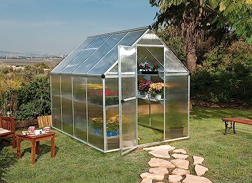Palram Canopia 6x8 Greenhouse Kit Silver