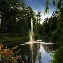 Scott Aerator Clover Big Shot Fountain 1/2 HP 115V Black