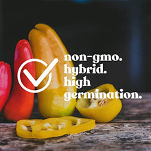 Mountain Valley Seed Company Golden Treasure Hot Pepper Seeds - Non-GMO, F1 Hybrid, 1 lb