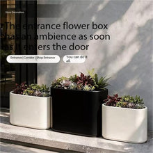 planter box Separation Planter Box Indoor Flower Pot Planting Trough