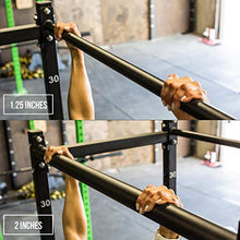FringeSport Free Standing Squat Cage Black