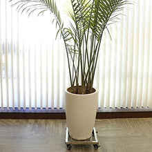 OREKPOT Stainless Steel Plant Caddy with Wheels for Indoor and Outdoor Garden Plants Square Mobile Tray for Flower Pots Plant Stand with Base Plant Saucer 50Cm,A-30cm，A 40cm