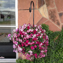 Mountain Valley Seed Co Bloom Master Hanging Baskets - 2 Gallon (48 Pack)