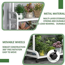 Indoor Plant Stand Garden Ladder Plant Stand,3 Tiered Metal Iron Flower Stand Step Planter Indoor Outdoor Planter Pot Stand Lockable Wheels,Corner Rolling Plant Shelves Flower Pot, A-80x40x107cm