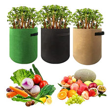 BBYYDS Plant Grow Bags Garden Fabric Vegetable Pot Living Bag Plants Nursery Root Container