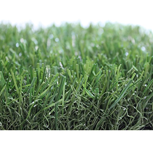 Premium Pro Turf- 12' Feet X 37.5' Feet ALL GREEN Synthetic Grass for landscaping, playground areas, poolside, pet areas, or sports fields