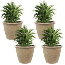 Sunnydaze Anjelica 24'' Large Plastic Planter Pot for Plants, Beige, 4pk