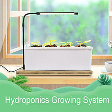 Home Indoor Kitchen Garden Hydroponics Growing System Smart LED Grow Light Kit for Both Outdoor & Indoor Plants & Gardening Kits for Home Kitchen