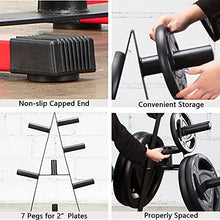 VEITEOX FTY Olympic Weight Plate Tree Rack for 2 Inch Barbell Weights