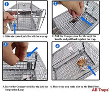 AB Traps Quality Live Animal Humane Trap for Rats, Mice, and Rodents - Small 10.5" x 5.5" x 4.5" 100-Pack