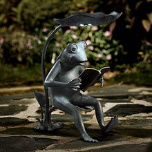 Reading Frog Birdfeeder with Solar LED Light
