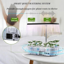 FLTRGO Indoor Hydroponic System,Aeroponics Growing Kit,Indoor Hydroponics Growing System,for Herbs, Fruits and Vegetables,with Hydrating Pump, Adapter, Net Pots.