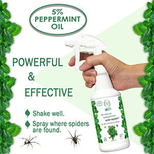 Spider Repellent, Natural 5% Peppermint Oil Spray, 4-55 Gallon Drums