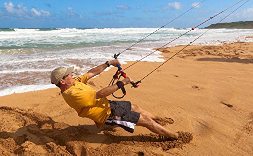 Prism Kite Technology Tensor 5.0 Convertible Dual/Quad-line Power Kite Silver