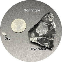 Soil Vigor Potassium Polyacrylate for Garden 45 White