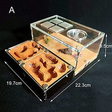 SDVantage Acrylic Flat Ant Farm Large Plaster Ant Nest Big Gypsum Pet Anthill Insect Castle Workshop Villa Ant House with Feeding Area (A 22.3x19.7x9.5cm)