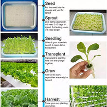 DXDRT Hydroponics Growing System Indoor Garden 108 Sites 12 PVC Pipes 3 Layer Hydroponic Gardening System Kit with Water Pump, Timer, Nest Basket and Sponge for Vegetables, Fruits, Herb, Flowers,JPN
