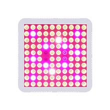 Led Grow Lights Spectrum Grow Lamp Square 300W Led Plant Growth Lamp High Power Full Spectrum Plant Fill Light