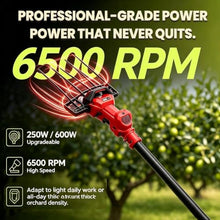 Battery Powered Fruit Tree Shaker Tool for Harvest and Coffee