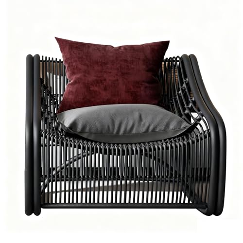 Apk i bc Single Seater Rattan Sofa Chair, Balcony Chair with High-Density Thick Cushion, Indoor/Outdoor Use, Comfortable Reading Nook Armchair, Includes 2 Throw Pillows(Dark Gray,80 * 100 * 100)