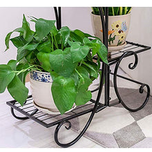 GHJUMKFDF Flower standPlant Stand, Plant Shelves, Flower Stand, 4 Tier Indoor Plant Stand, Flower Pot Shelf, Iron Stand, Tiered Outdoor Display Plant Holder, Flower Stand
