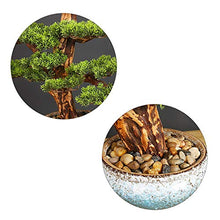 Faux Bonsai Tree Houseplant Pine Bonsai Plant Ceramics Round Pot Pebbles Used for Home Living Room Entrance Office Hotel Decoration House Plant