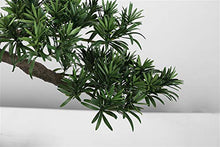 YXIANG56Q Fake Plants New Simulation Podocarpus Welcoming Pine Crescent Bonsai Porch Flower Stand Soft Decoration Handicraft Gift Bonsai Tree