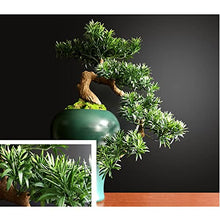 Fake Plants Bonsai Tree Faux Pine Tree Bonsai Juniper Tree Bonsai Artificial Bonsai Tree Indoor Decoration House Plant with Ceramic Pot Bonsai Tree